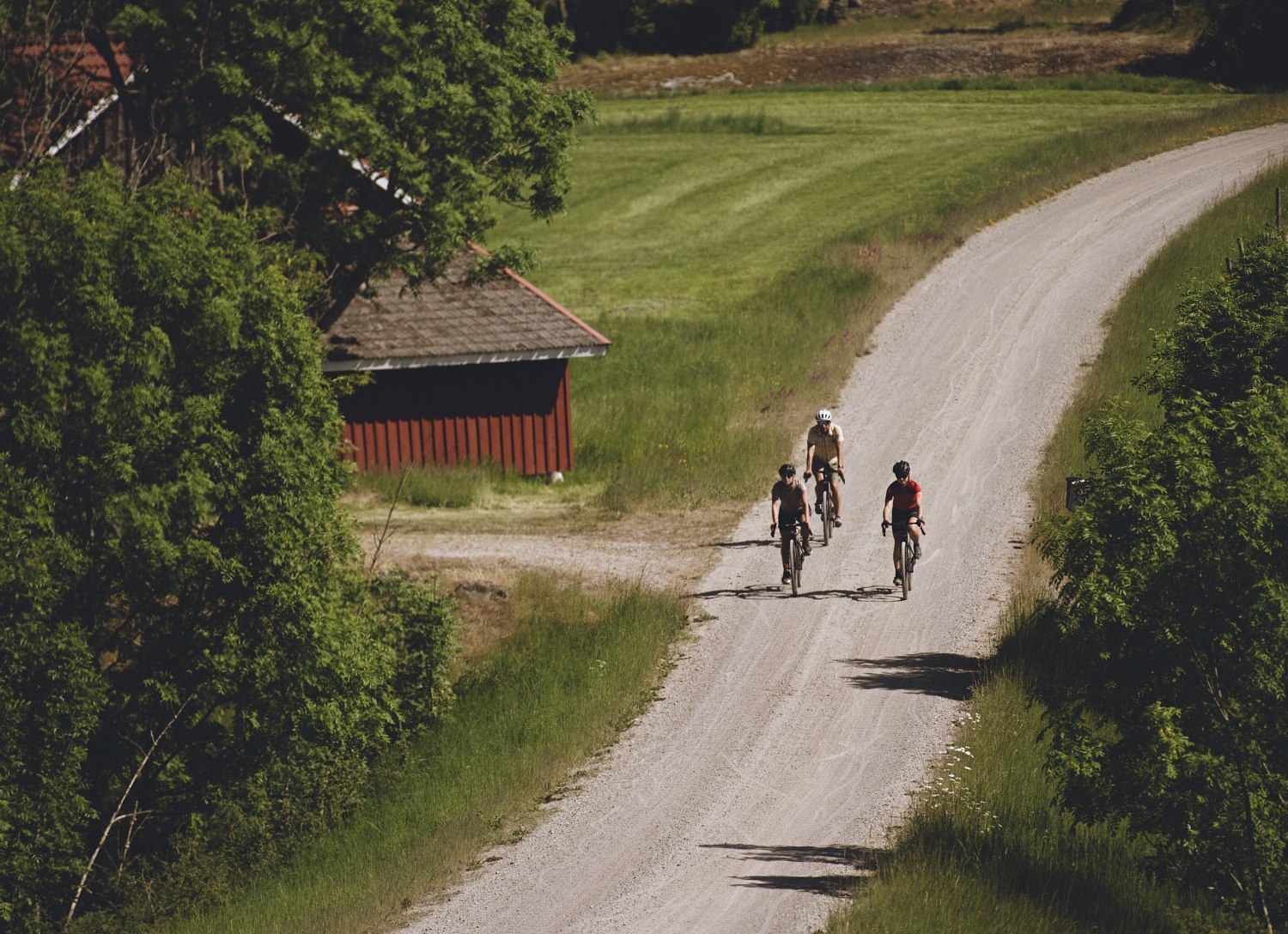 Cykelsällskap på landsväg