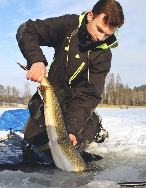 Fångad fisk i isvak